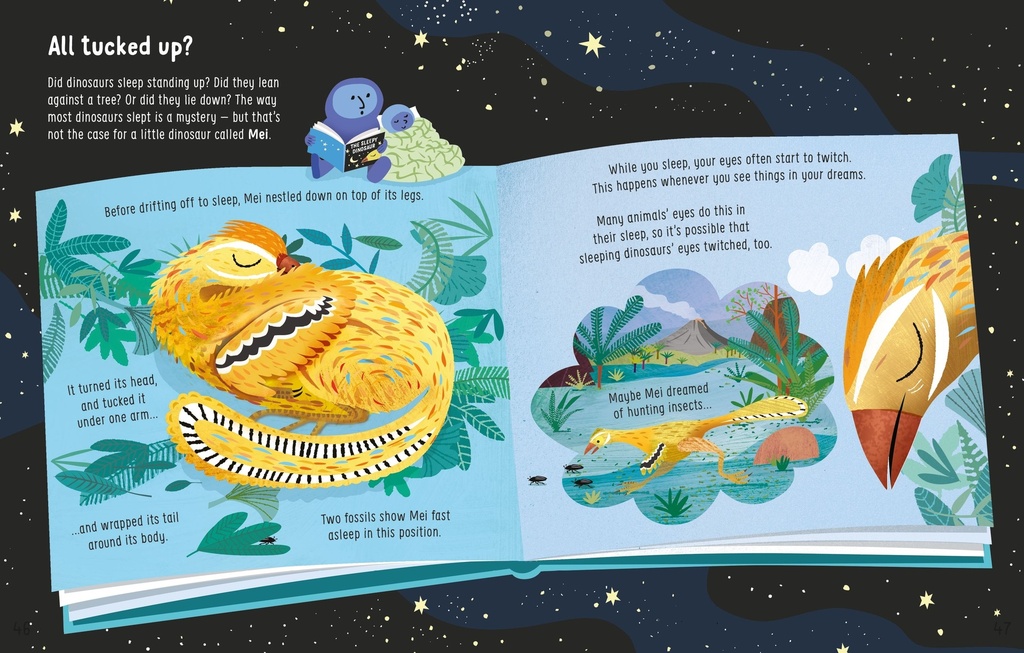 Lots of Things to Know About Dinosaurs | Usborne books for kids | The Kids' Nook Oman