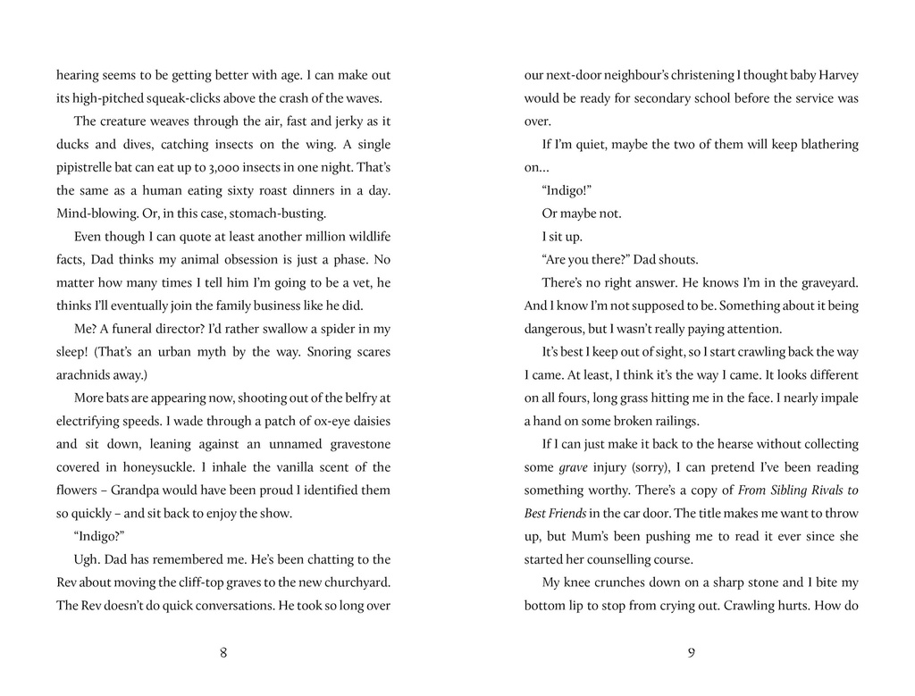 Spooksmiths Investigate: The Cinderman